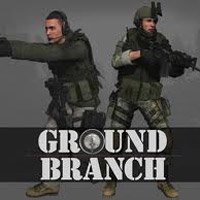 Game Box forGround Branch (PC)