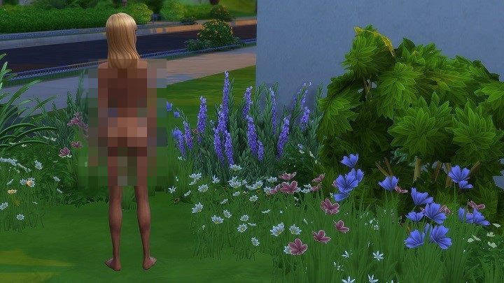 Nature and naturism. - 50 Shades of The Sims - A List of Naughty Mods - dokument - 2023-01-23